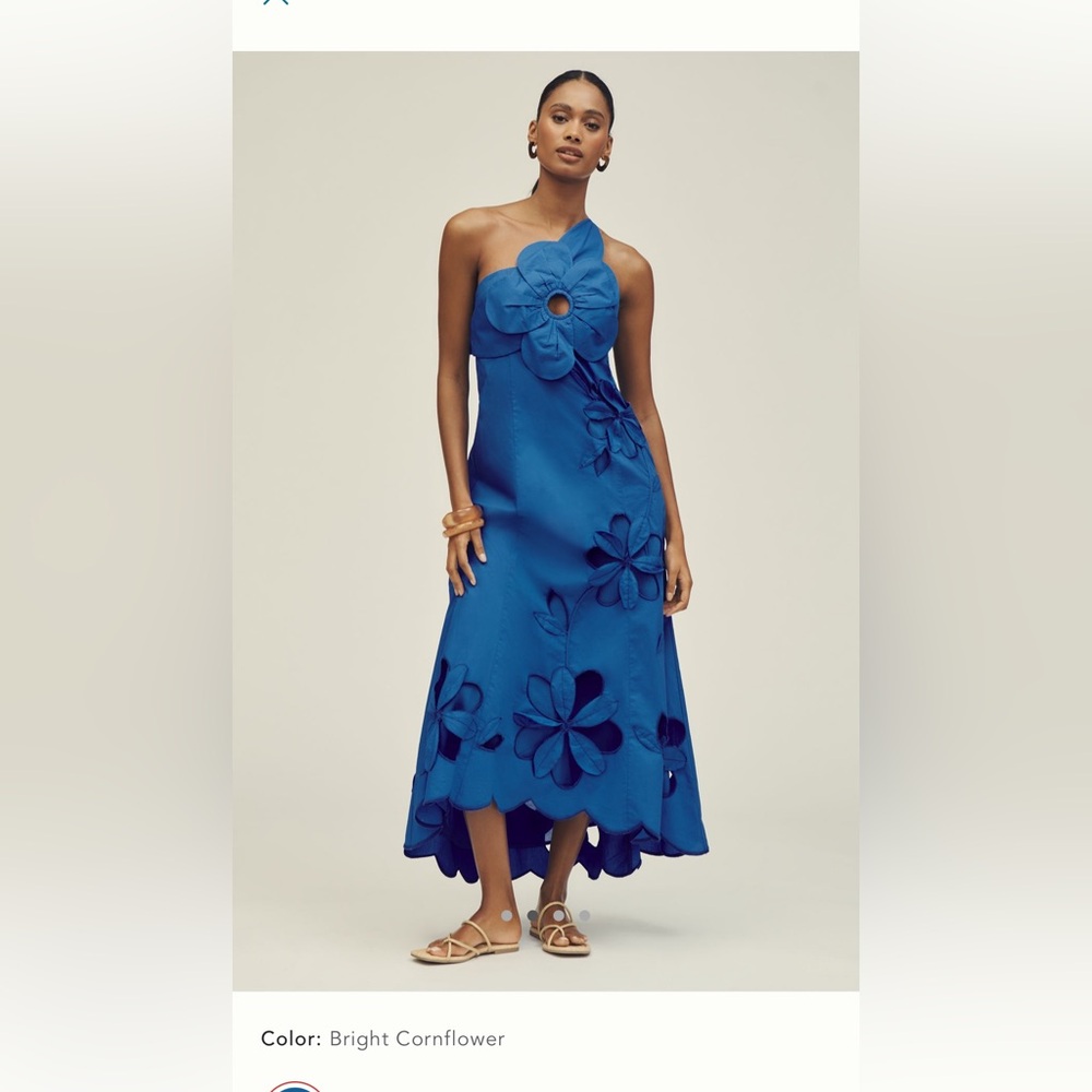 Anthropologie Cornflower Blue Floral One Shoulder Dress